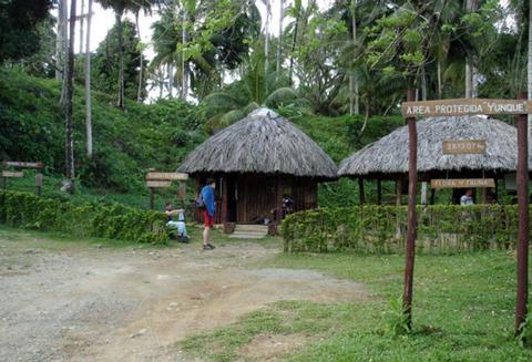 Visita a El Yunque