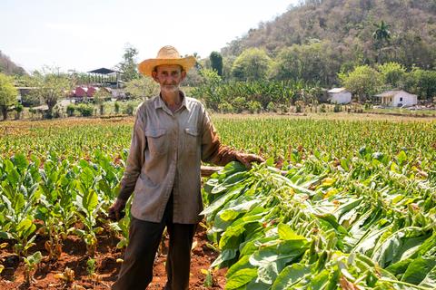 Visita a la Casa del Agricultor Cuba