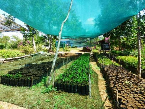 Reforestation & Recycling Volunteer Costa Rica