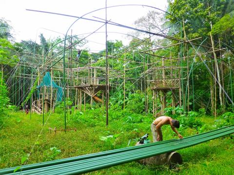 Reforestation & Recycling Volunteer Costa Rica