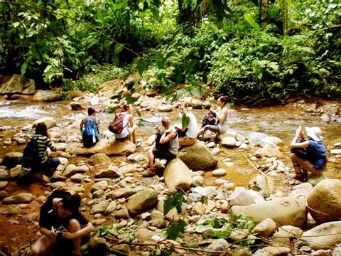 Reforestation & Recycling Volunteer Costa Rica