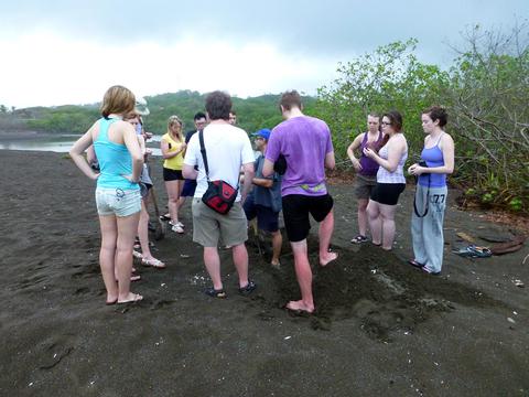 Volunteer in the Ostional Turtle Conservation Costa Rica