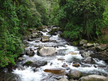 Waterfall Hike photo 4