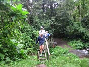 Waterfall Hike