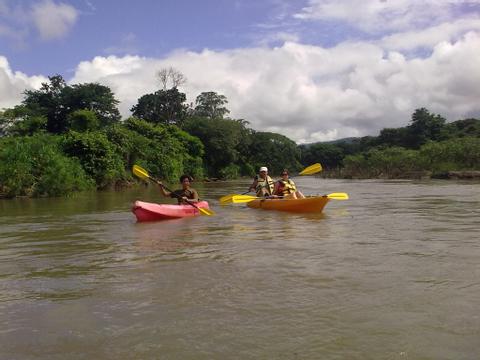 Wildlife and Mangrove Kayak Tour Costa Rica