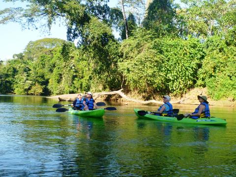 Wildlife and Mangrove Kayak Tour Costa Rica