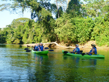 Tour de naturaleza y manglar en kayak photo 2