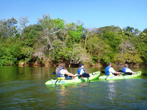 Wildlife and Mangrove Kayak Tour Costa Rica