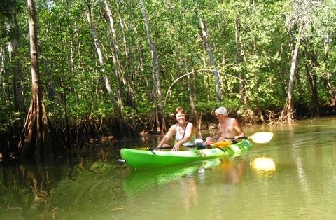 Wildlife and Mangrove Kayak Tour Costa Rica