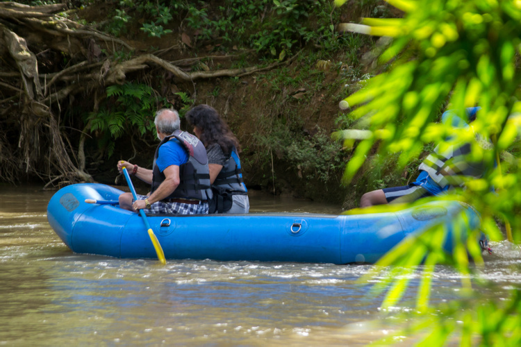 Safari Float photo