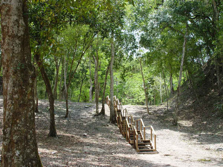 Yaxhá One Day  photo 3