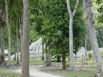 Un Día En Yaxhá & Topoxté photo 3