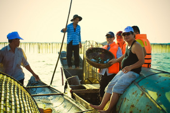 Yellow Tam Giang Lagoon photo 3