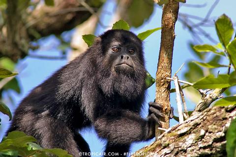 Aventura de Tirolesa y Zoológico