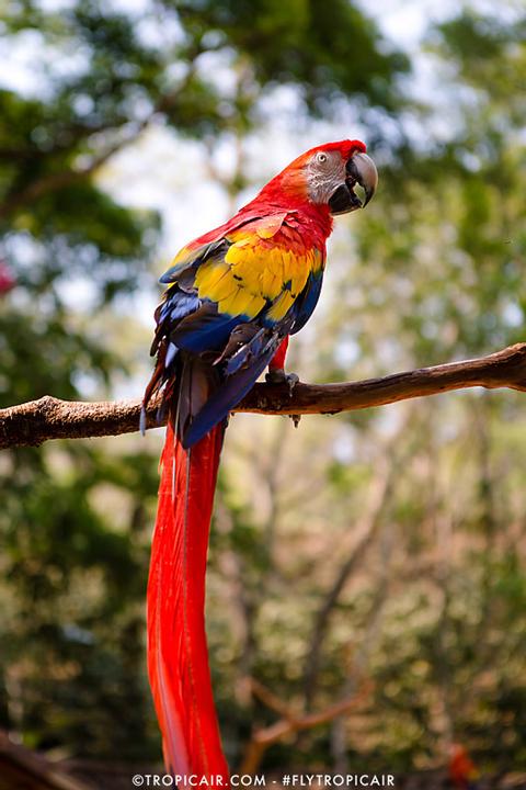Zipline and Zoo Adventure