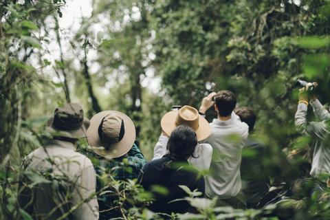 Bwindi Forest Uganda