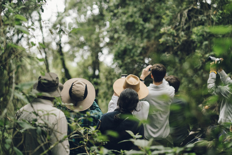 Bwindi Forest