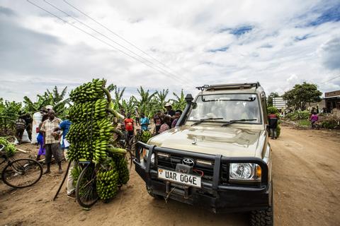 Kibale Uganda