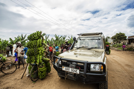 Kibale photo 2