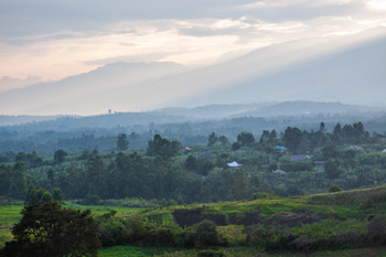 Kibale photo 3