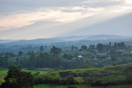 Kibale photo 3