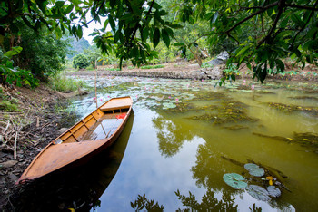 Cuc Phuong National Park photo 3