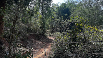 Mai Chau Nature Hiking Tour photo 5