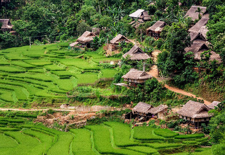 Mai Chau to Pu Luong - Trekking Through Hidden Villages photo 3
