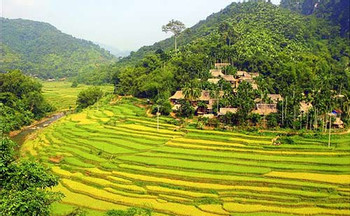 Mai Chau , Vietnam Tours and Activities