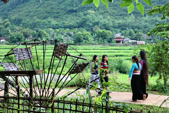 Mai Ha Homestay photo 5