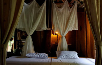 Mai Ha Homestay photo 2