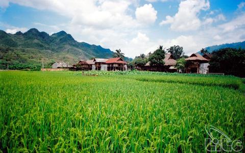 Visit Mai Chau