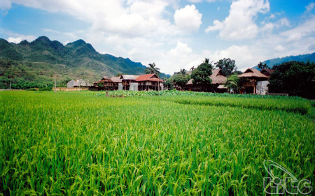 Visit Mai Chau photo 2