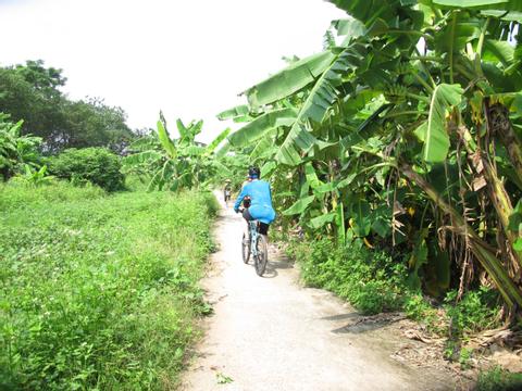 Farm-to-Table Bike Tour