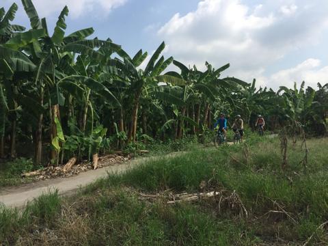 Farm-to-Table Bike Tour Vietnam