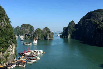A DAY CRUISE HALONG BAY (PRIVATE TOUR) L