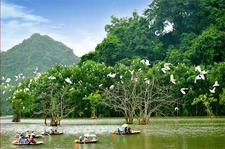 Hanoi - Tam Coc - Thung Nham Bird Watching 1 day tour