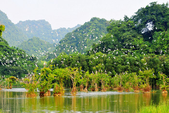 Hanoi - Tam Coc - Thung Nham Bird Watching