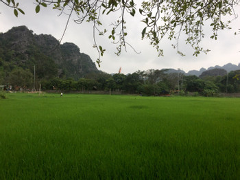 Full Day Ninh Binh Bike Tour and Boat Trip