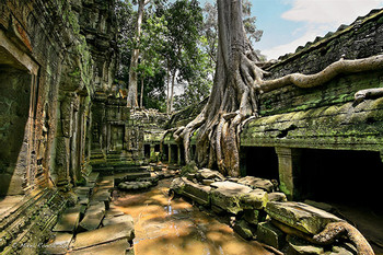 Amazing Angkor  photo 5