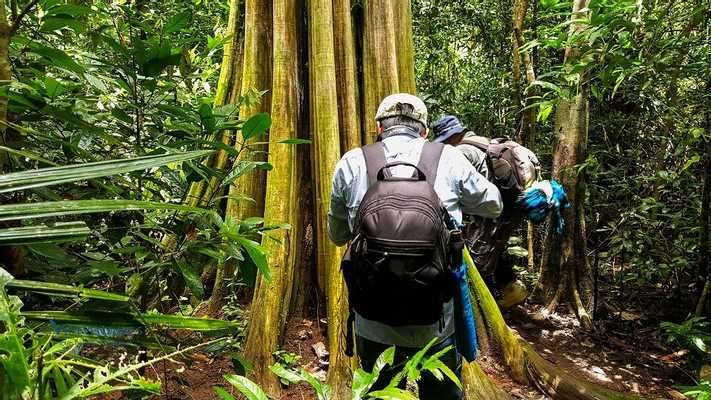 Cat Tien National Park Tour