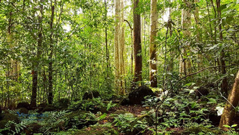 Cat Tien National Park Tour photo 2