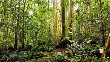 Cat Tien National Park Tour photo 2
