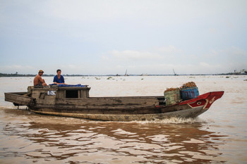 Mekong Delta 1 Day Tour photo 4