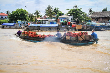 Mekong Delta 1 Day Tour photo 5