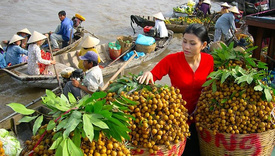 Ho Chi Minh to My Tho / Mekong Day Tour