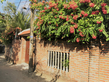 An Bang Beach Stone Villa Hoi An  photo 5