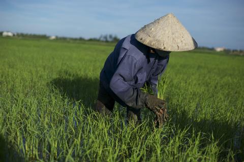Hoi An Biking tour to Cam Kim island Vietnam