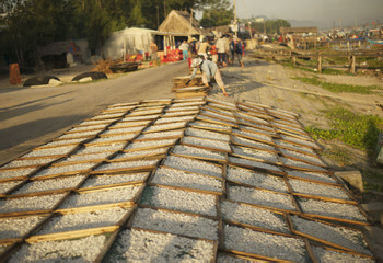 Hoi An Biking tour to Cam Kim island  photo 2