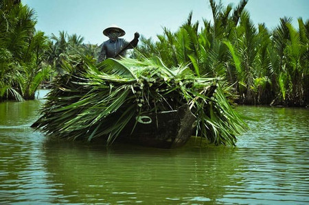 Cam Thanh Village photo 3